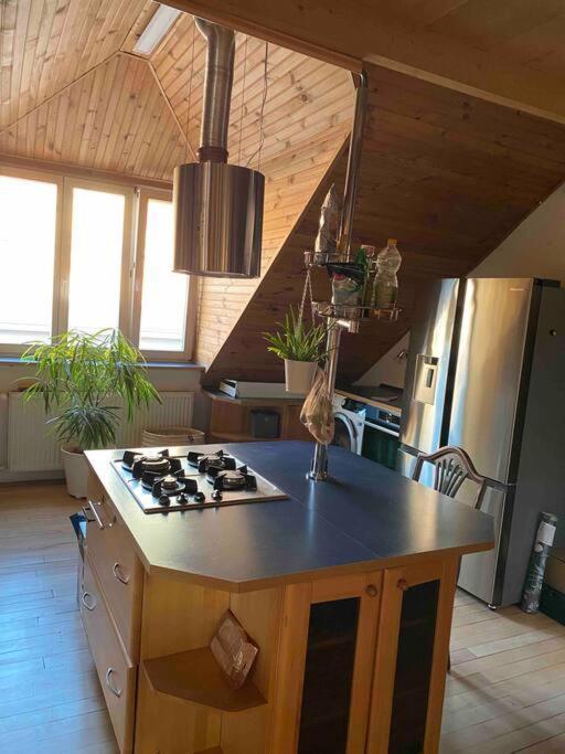 Rooftop 180M2 Loft With Private Sauna, Bratislava Exterior foto